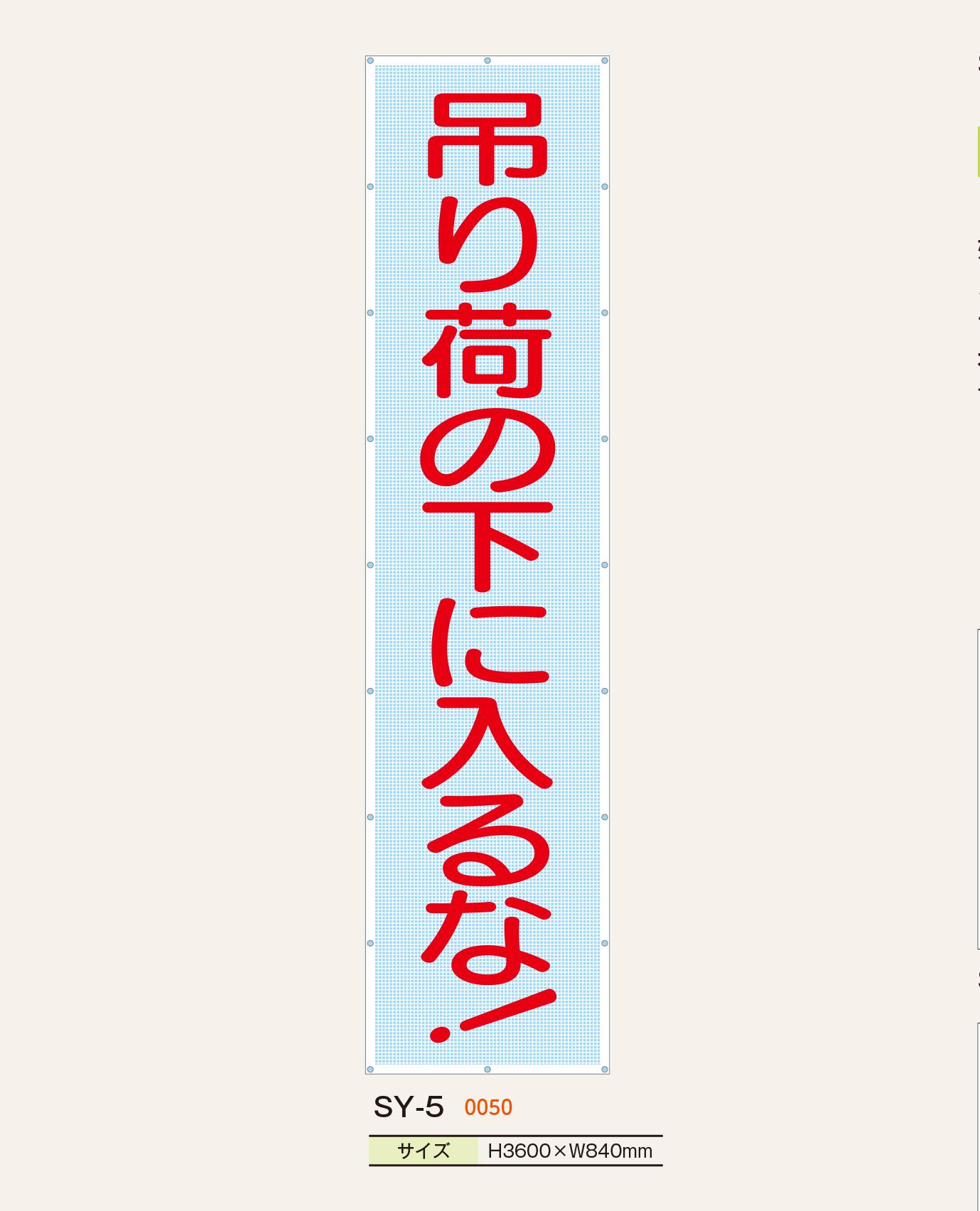 スカイメッシュ(ヒモ20本付)_6