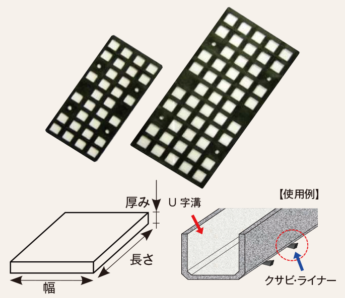 トップ ライナー