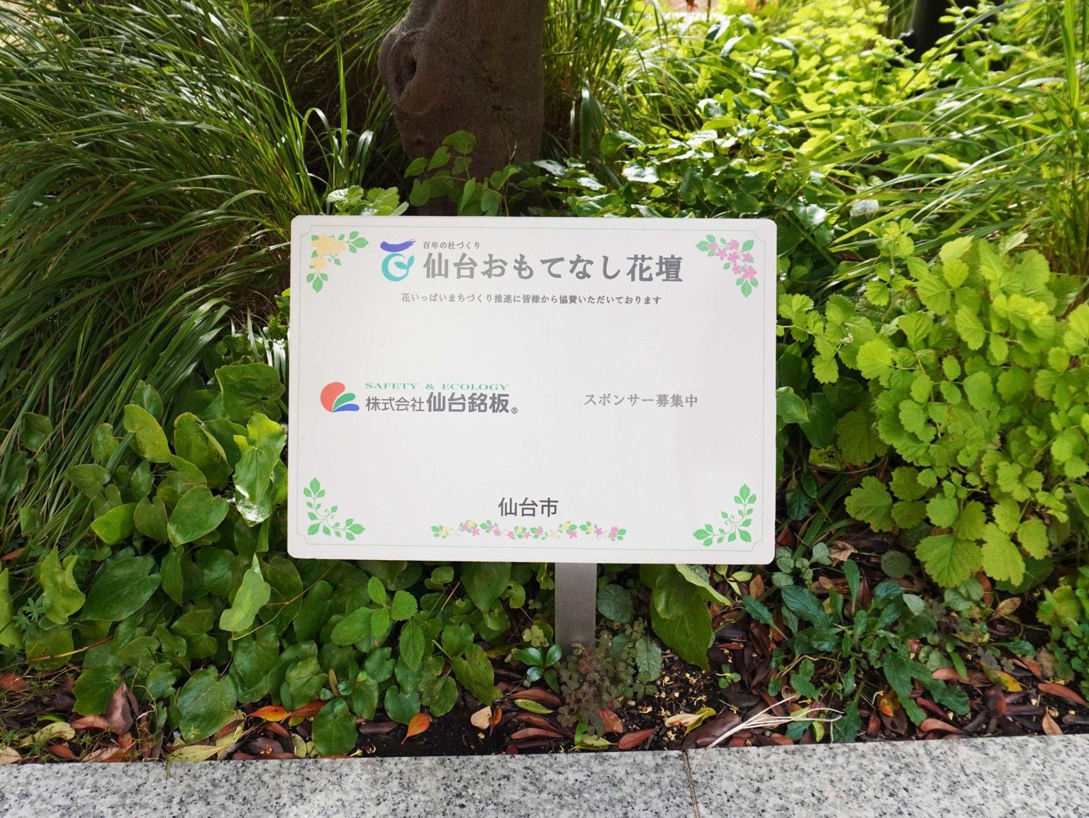 仙台おもてなし花壇の様子