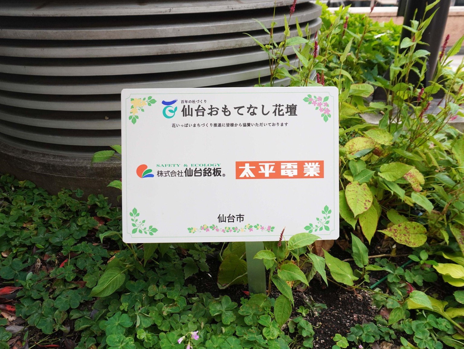 仙台おもてなし花壇の様子