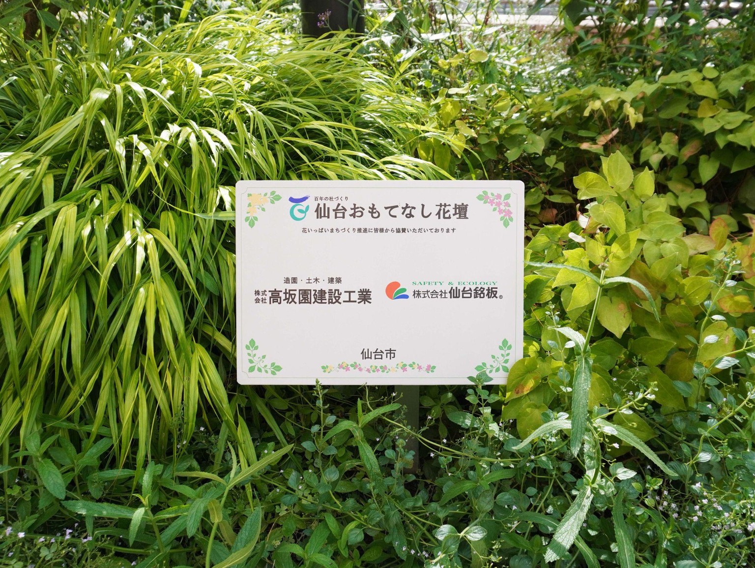 仙台おもてなし花壇の様子